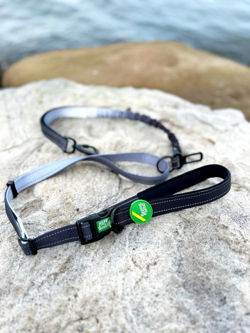 6-in-1 Dog Leash